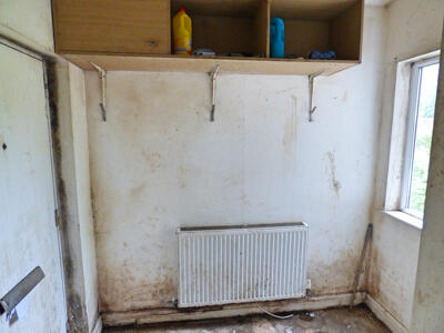 Picture 12